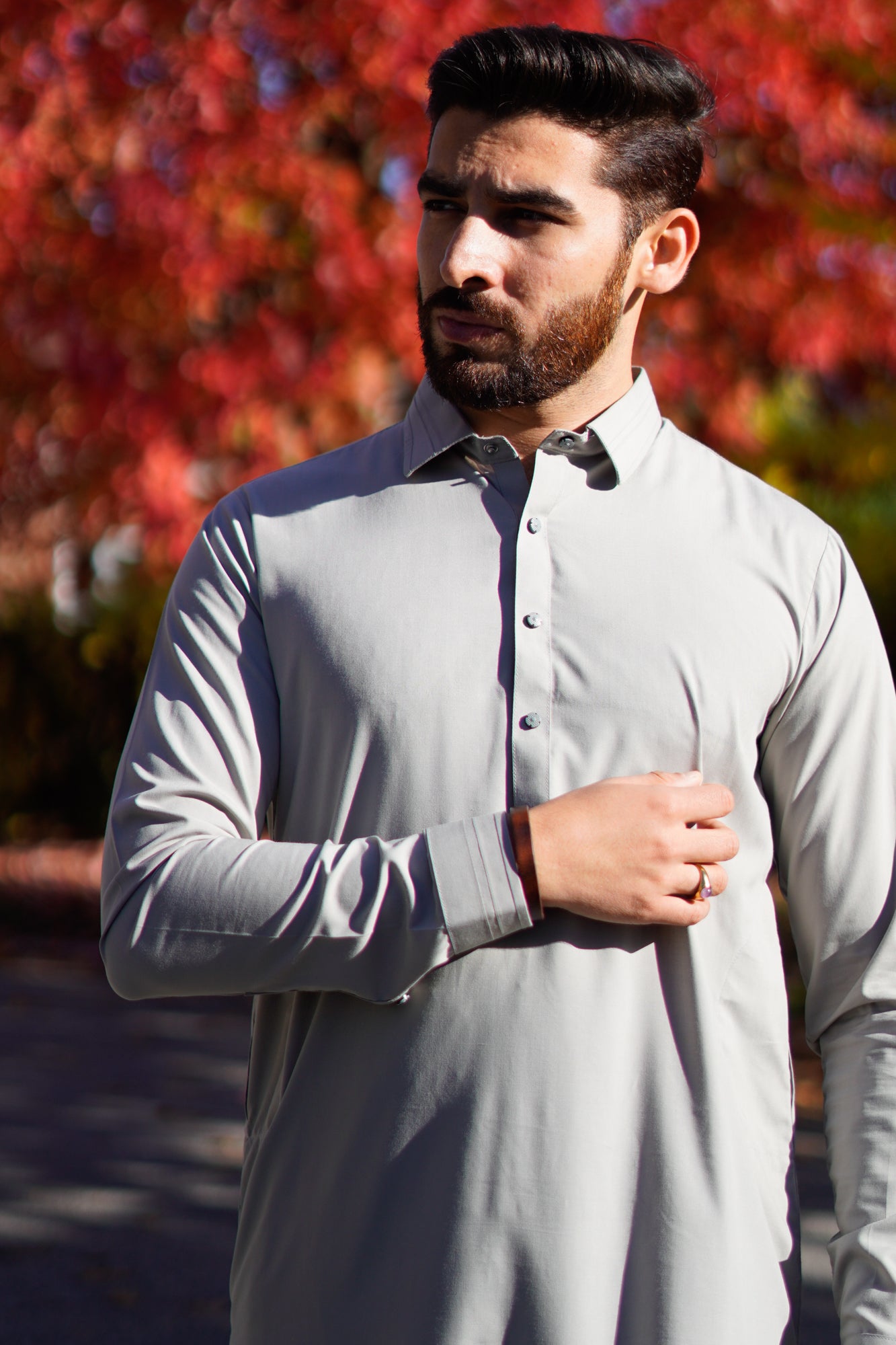 Ash-grey collar with lines and matching two tone round fancy plain snap button